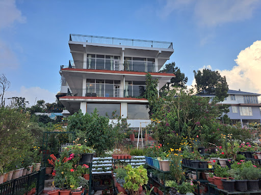 Thick Mist Rolling In Cloudwalks® Homestay